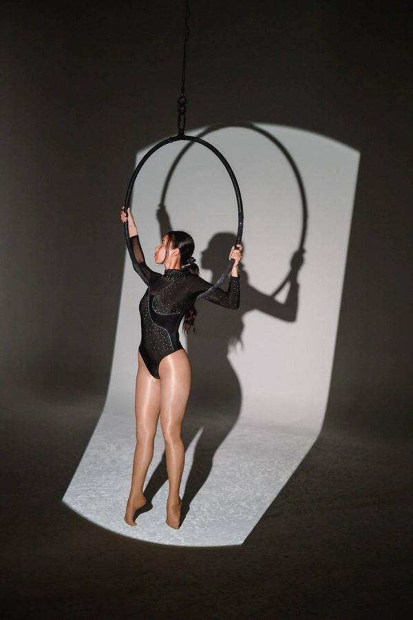 Aerial hoop silhouette